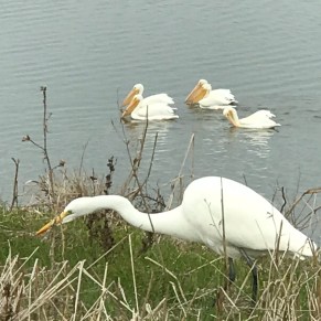 rsTUx8ifQBWRDyXc9SJ1zw